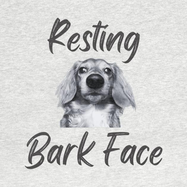 Resting Bark Face Dachshund by Forever Pawsome